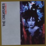 [IMAGE: Cover of Anima Animus]